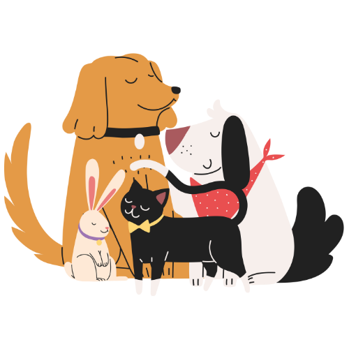 Kingsmere Pet Care dogs cats and small animals